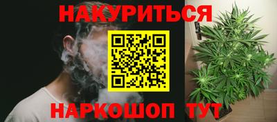 молекула духа Новозыбков