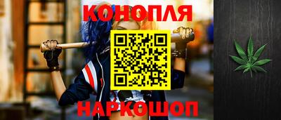 ешки Новодвинск
