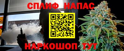 молекула духа Новозыбков