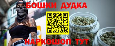 молекула духа Новозыбков