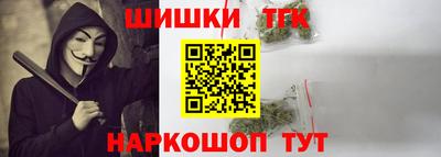 молекула духа Новозыбков