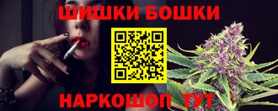 молекула духа Новозыбков