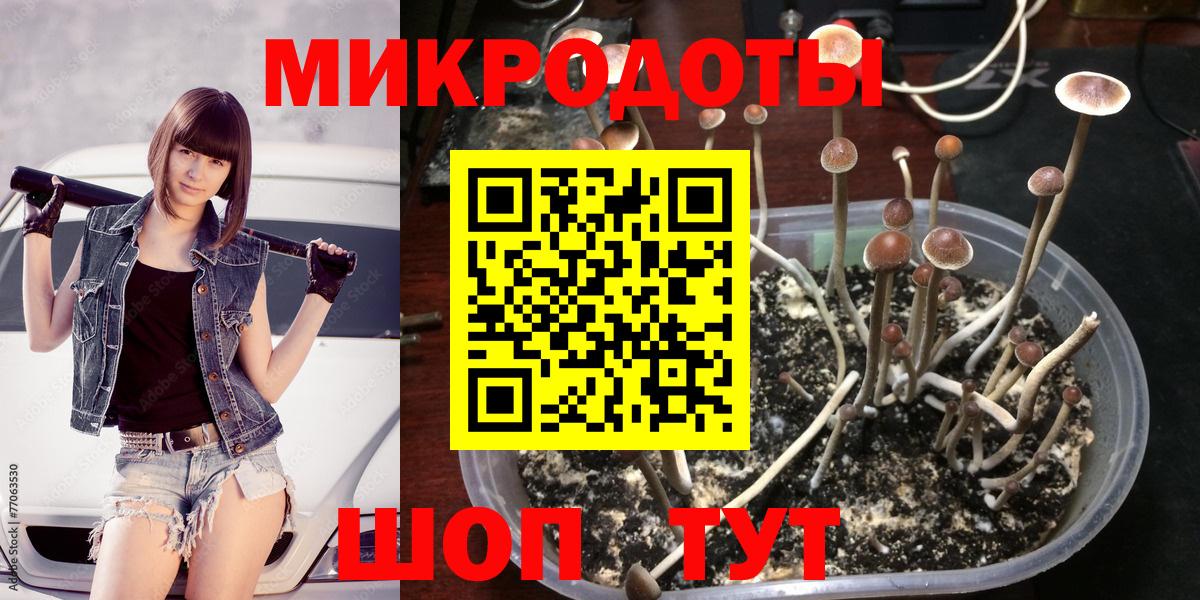 Галлюциногенные грибы Magic Shrooms  Вход с VPN  Сызрань  Псилоцибиновые грибы GOLDEN TEACHER 
